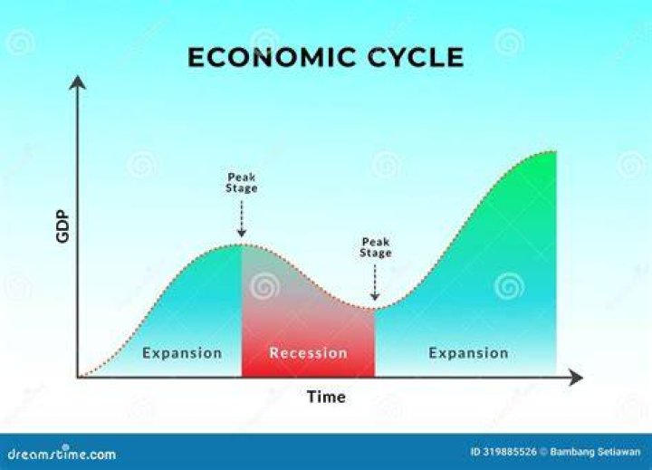 What are fluctuations in the economy called?