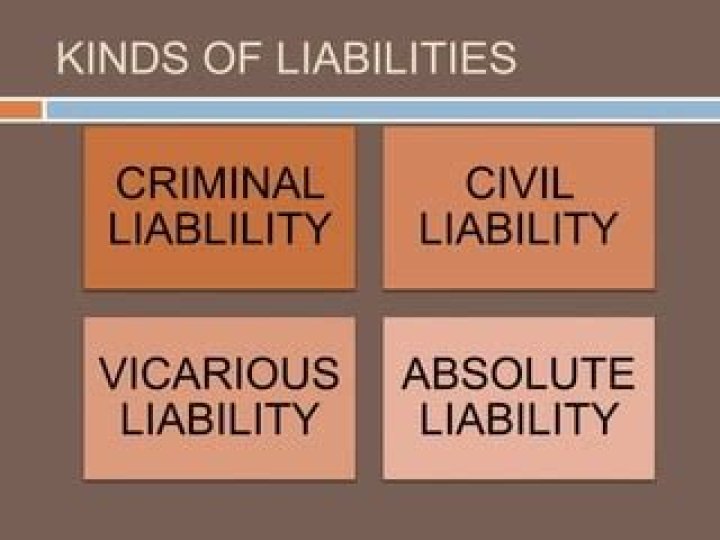 What are included in civil liabilities?