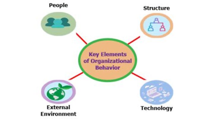 What are key elements of organizational behavior?