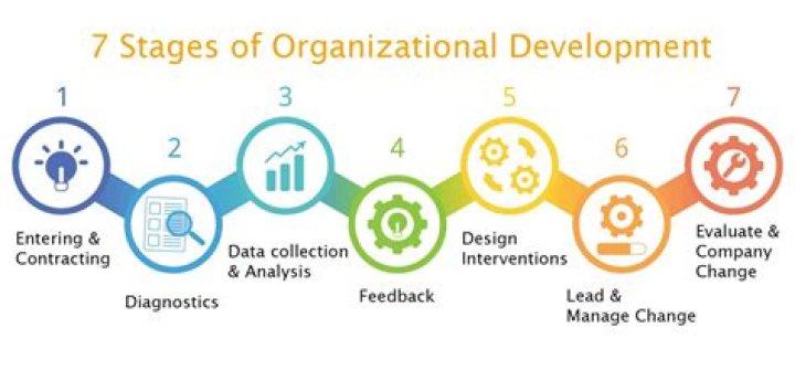 What are organizational development practitioners?