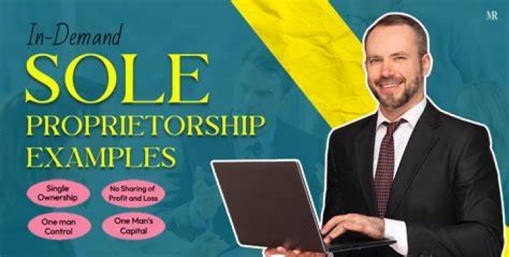 What are real life examples of sole proprietorship?