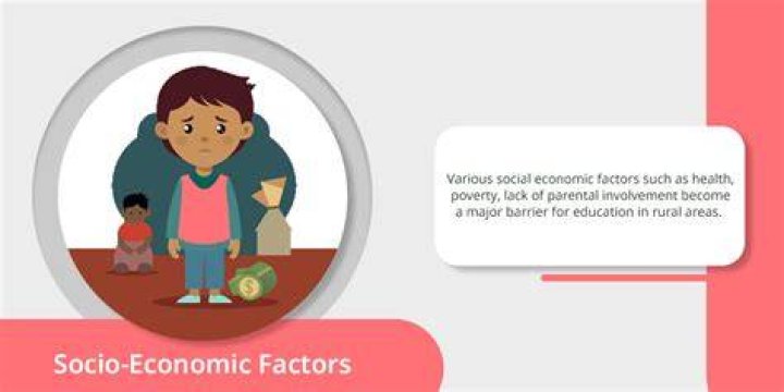What are socio economic factors?