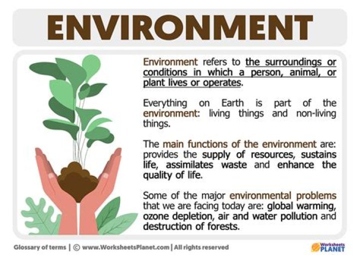 What are some examples of general environment?