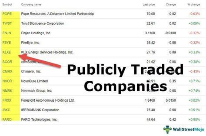 What are some US publicly traded companies?