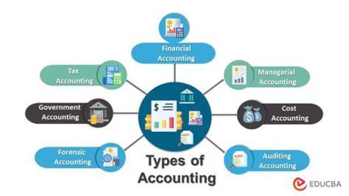 What are the 3 branches of accountancy?