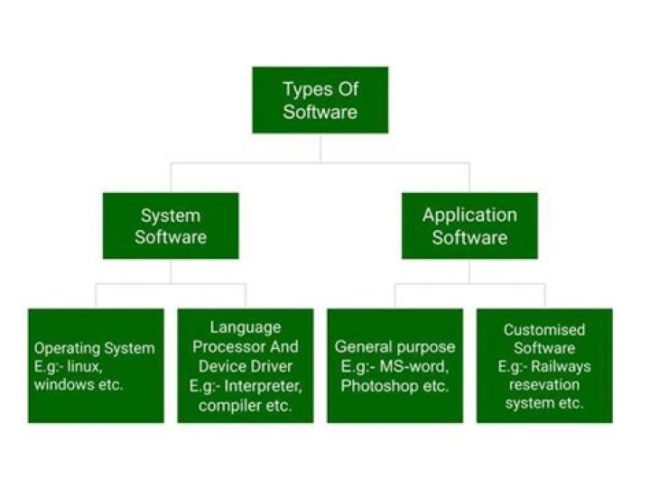 What are the 3 main software types?