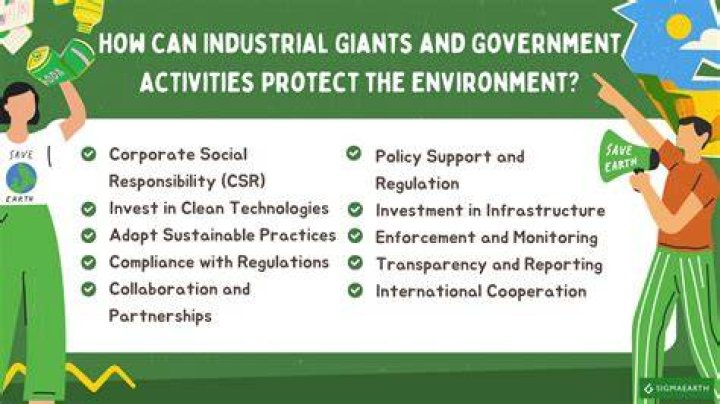 What are the 3 things government can do to help the environment?