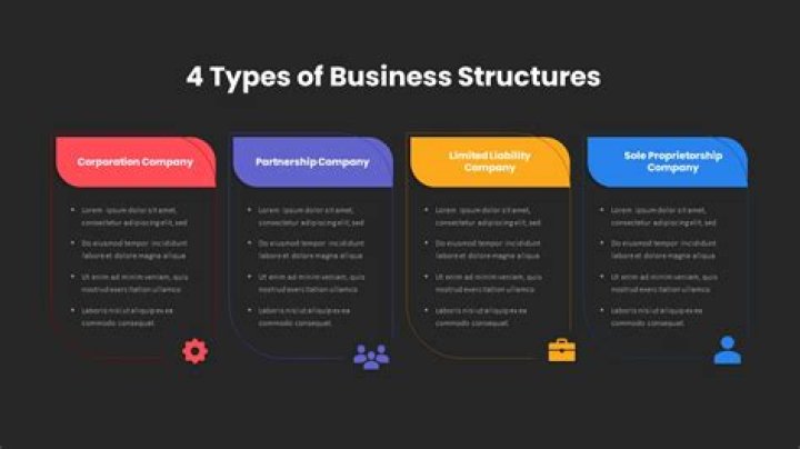 What are the 4 types of business organization?