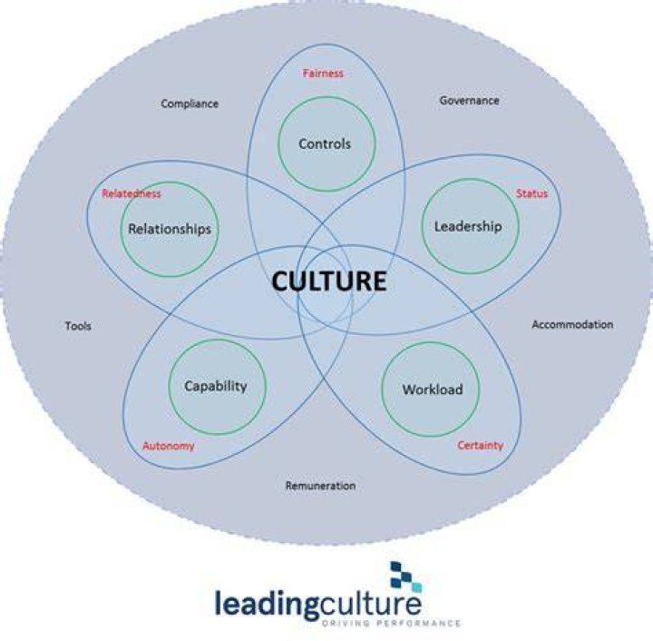 What are the 5 factors of culture?
