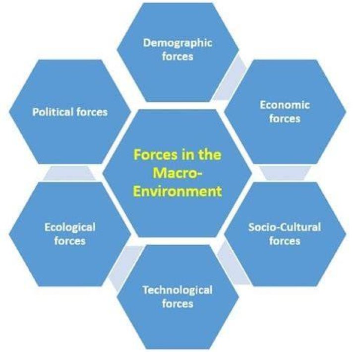 What are the 5 macro environmental factors?