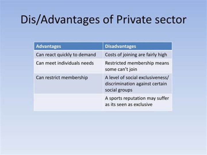 What are the advantages and disadvantages of private sector?