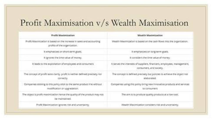 What are the advantages and disadvantages of wealth maximization?