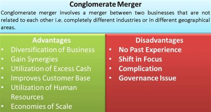 What are the advantages and disadvantages when two companies merge?