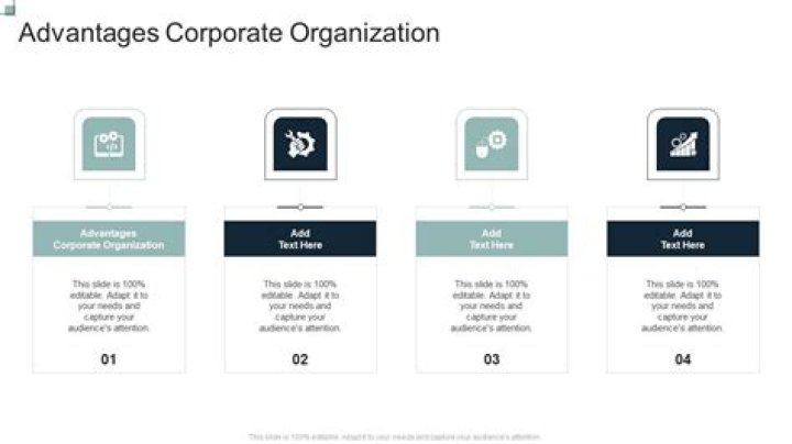 What are the advantages of a corporate organization?