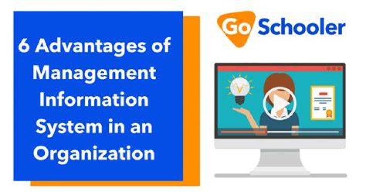 What are the advantages of information management system?