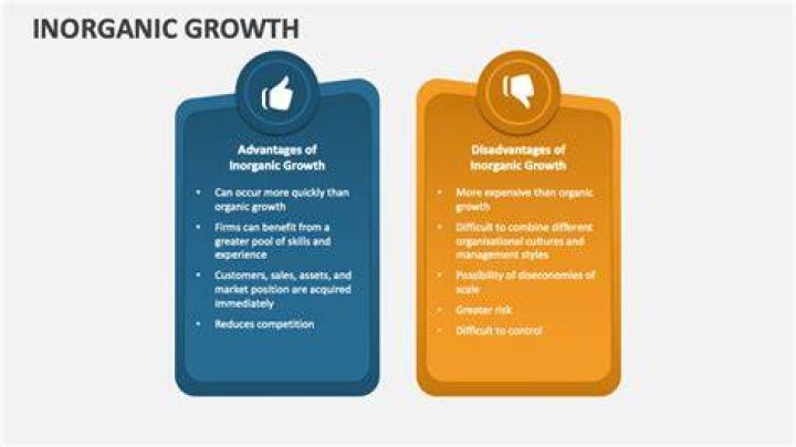 What are the advantages of inorganic growth?