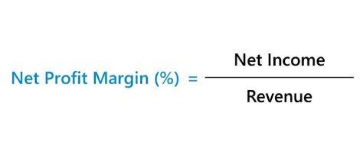 What are the advantages of net profit margin?