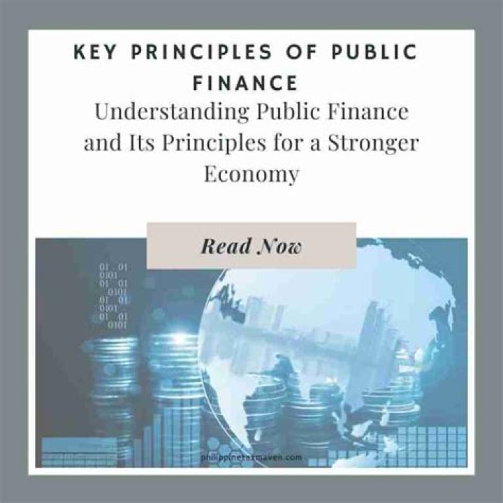 What are the basic principles of public finance?