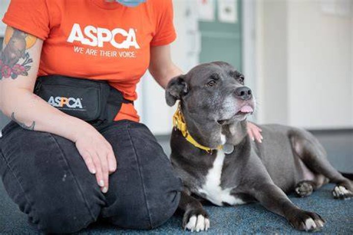 What are the benefits of Aspca?