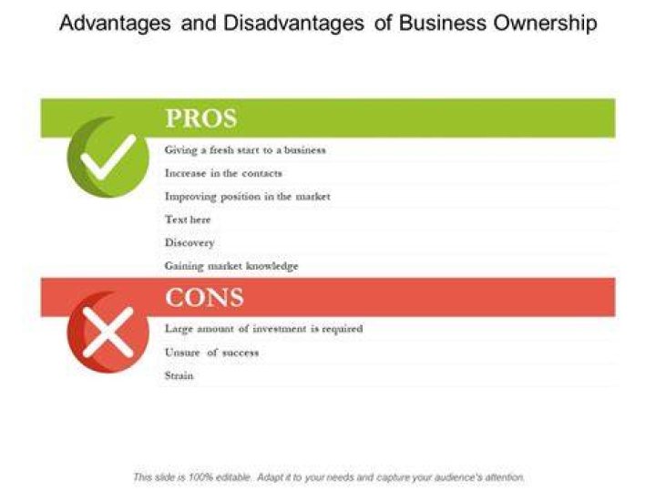 What are the disadvantages of a business?