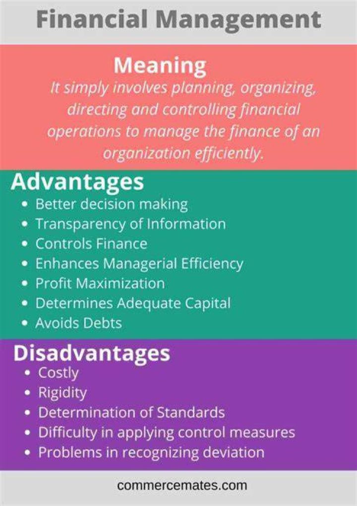 What are the disadvantages of financial management?