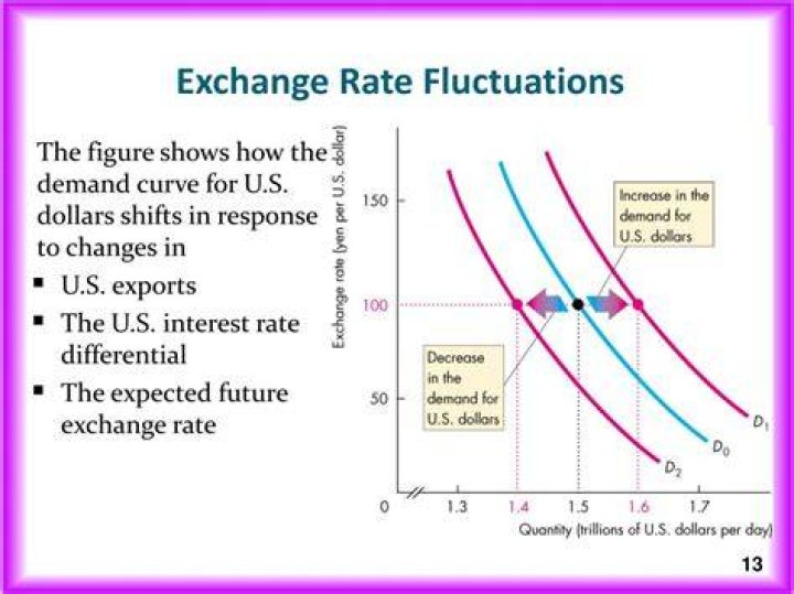What are the effects of exchange rate fluctuations?