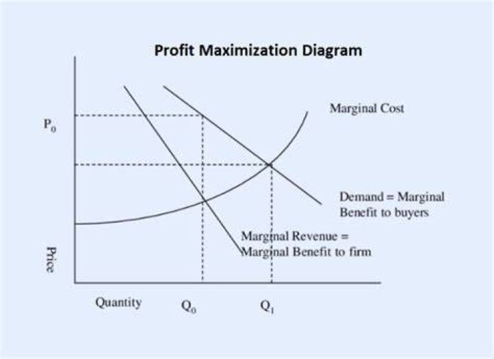 What are the effects of profit maximization?
