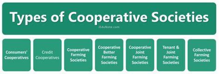 What are the example of cooperative?
