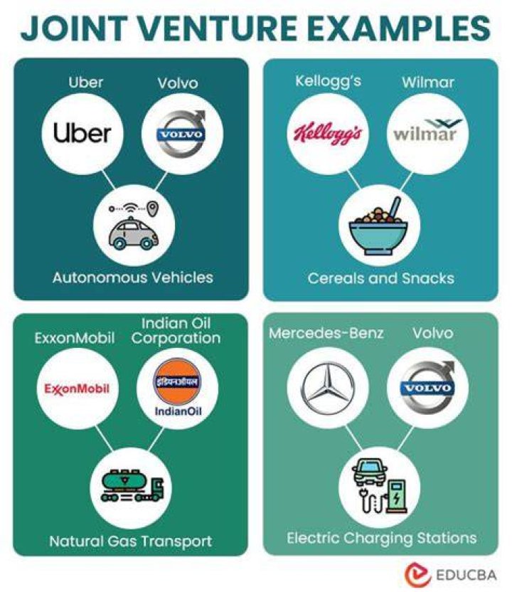 What are the example of joint ventures?
