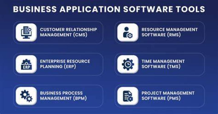 What are the examples of business application software?