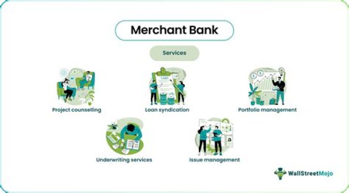 What are the examples of merchant bank?