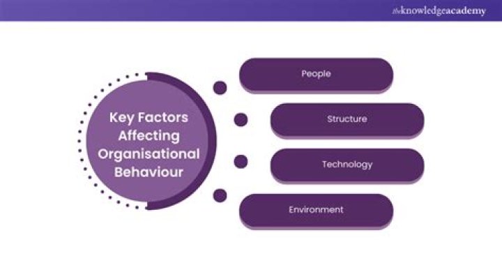What are the factors affecting organizational Behaviour?