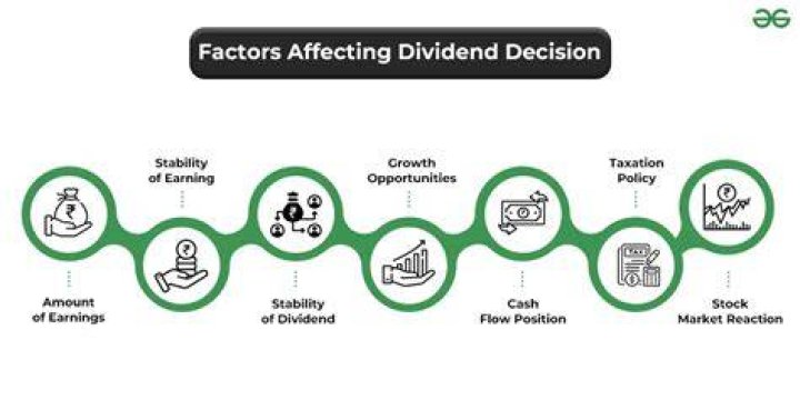 What are the factors affecting the dividend decisions?