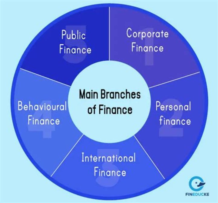 What are the five main branches of public finance?