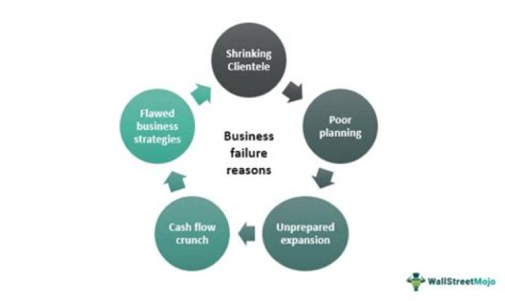 What are the four causes of small business failure?