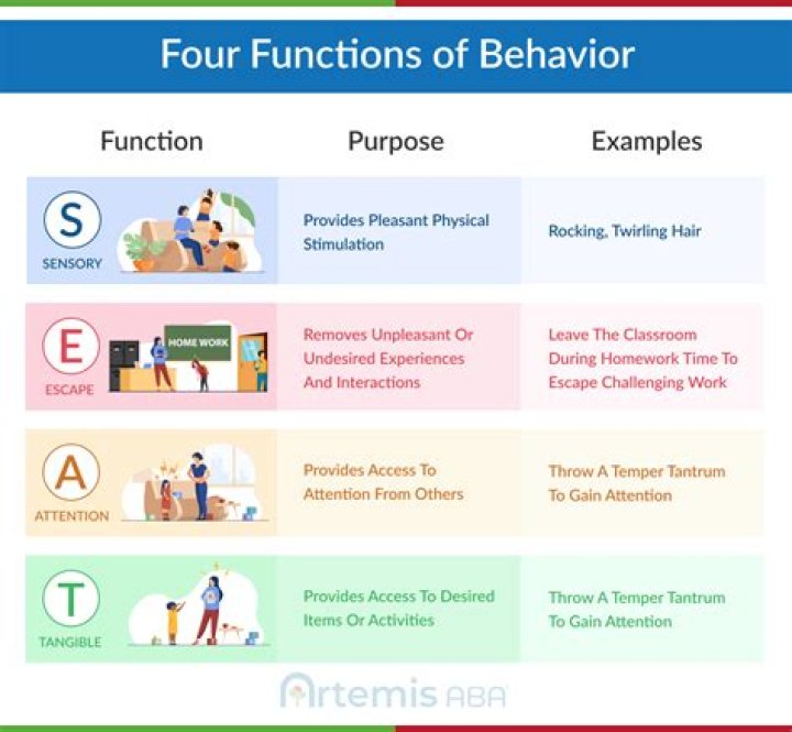 What are the four functions of the Fed and which is most important?