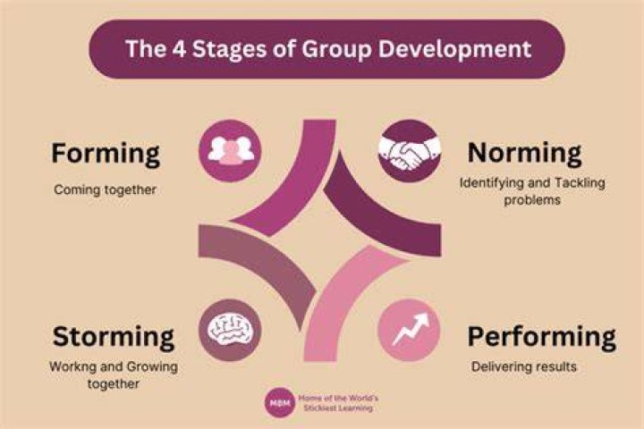 What are the four stages in forming a legal system?