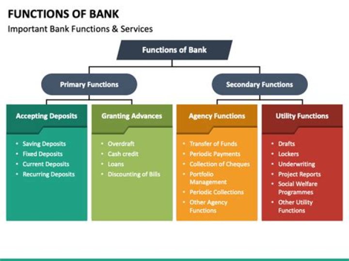 What are the functions of the bank?