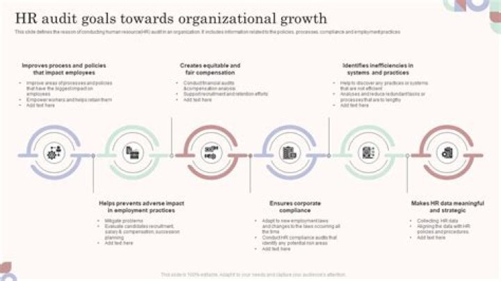 What are the goals of HR audit?