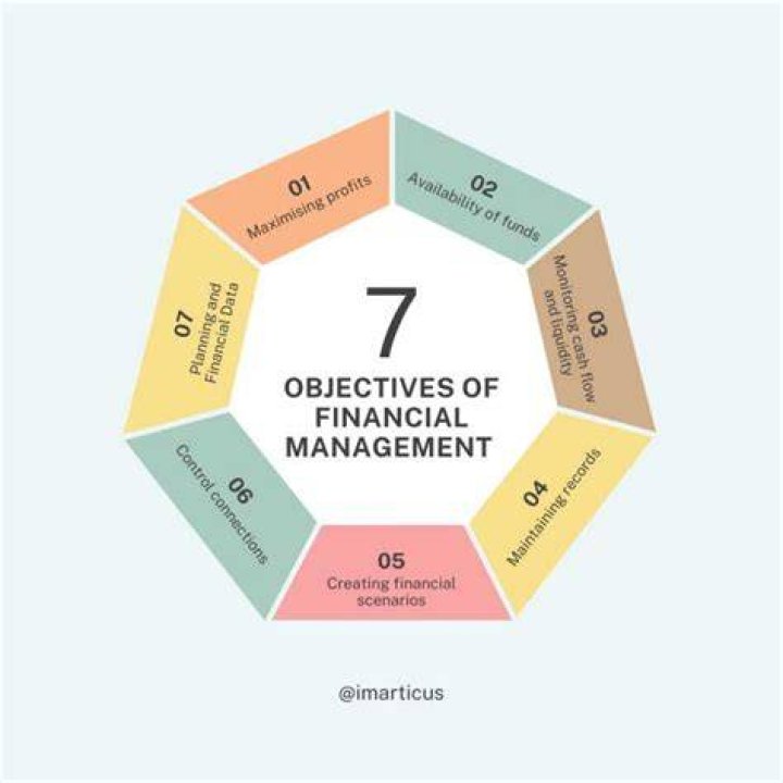 What are the goals of the financial manager?