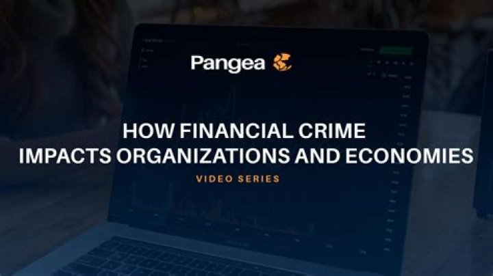 What are the impacts of financial crime?