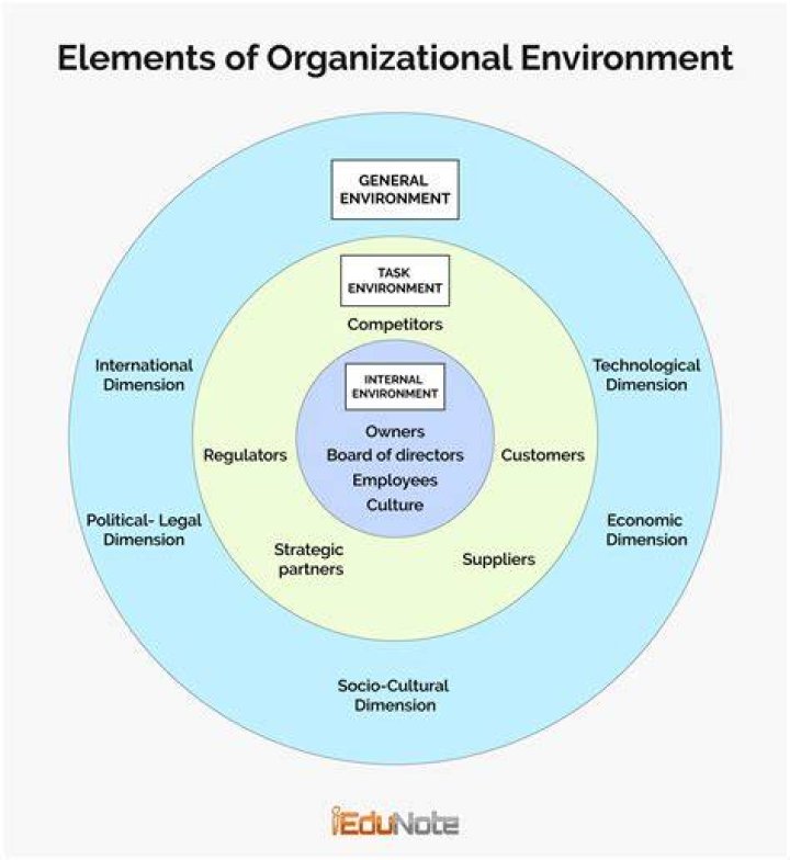 What are the internal and external environment of an organization?