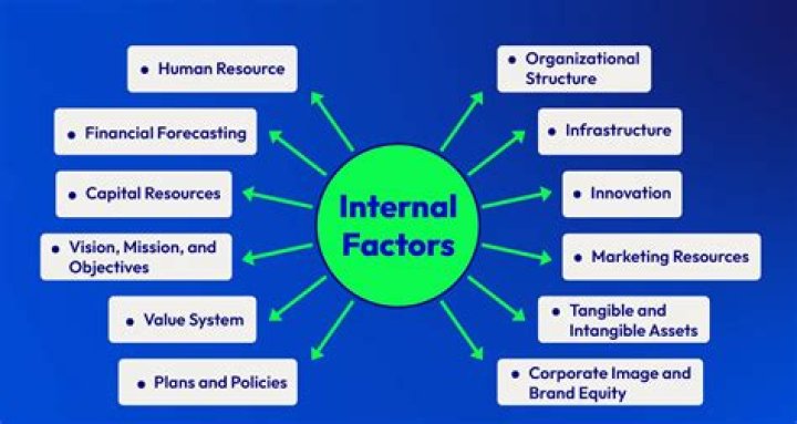 What are the internal and external factors that affect the business?