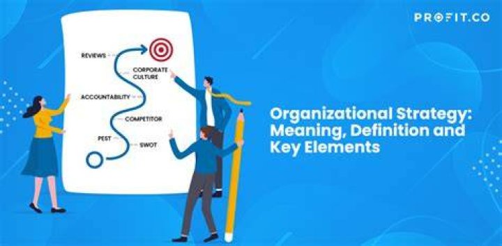 What are the key elements of an organizational strategy?