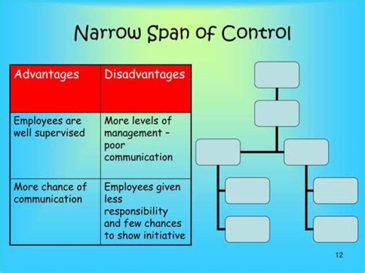 What are the main advantages and disadvantages of narrow span of control?