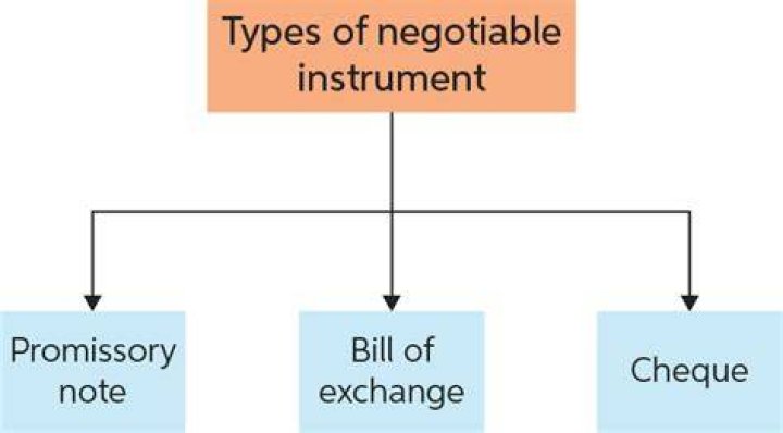 What are the main categories of negotiable instruments?