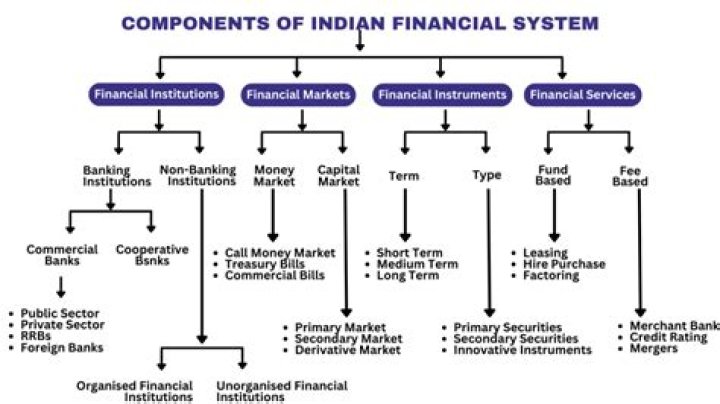 What are the major issues in Indian financial system?