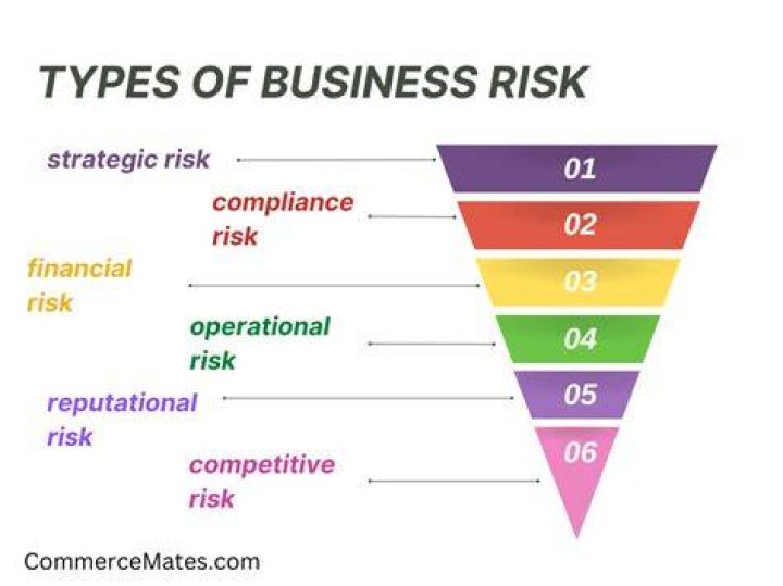 What are the major types of business risk?