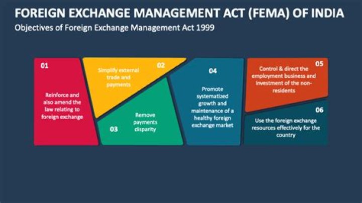 What are the objectives of foreign exchange management?