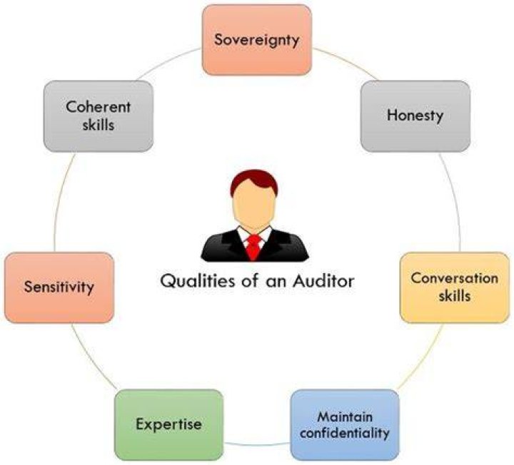 What are the qualities of an auditor should possess?